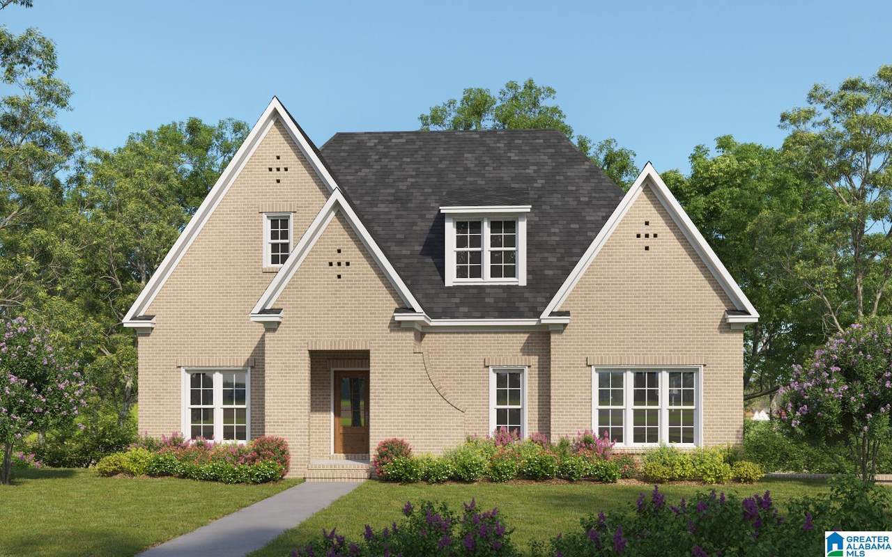 1210 Chelsea Park Trail - Photo 1