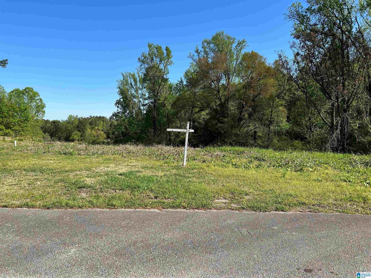 000 Timothy Drive - Photo 1