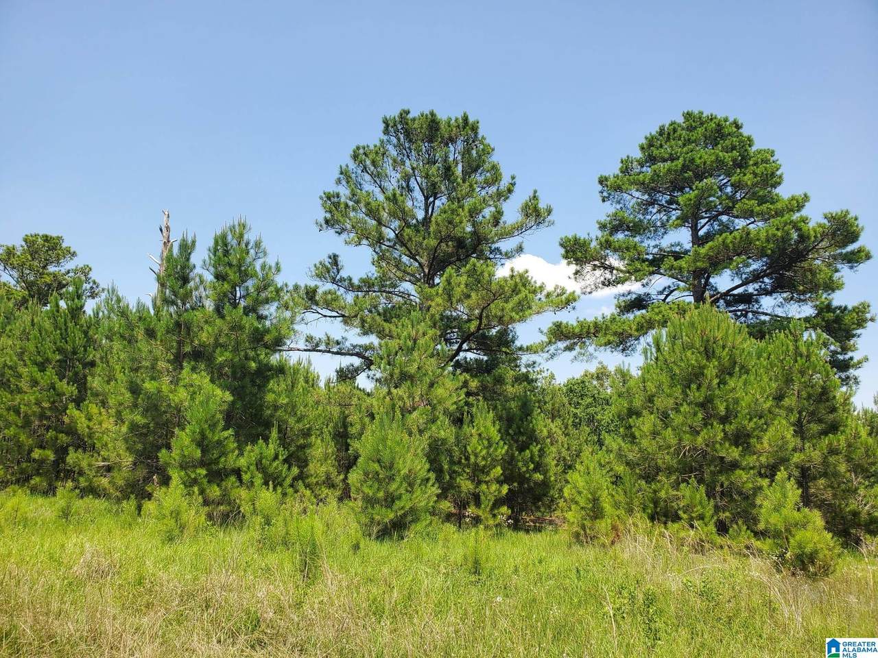10530 County Road 16 - Photo 1