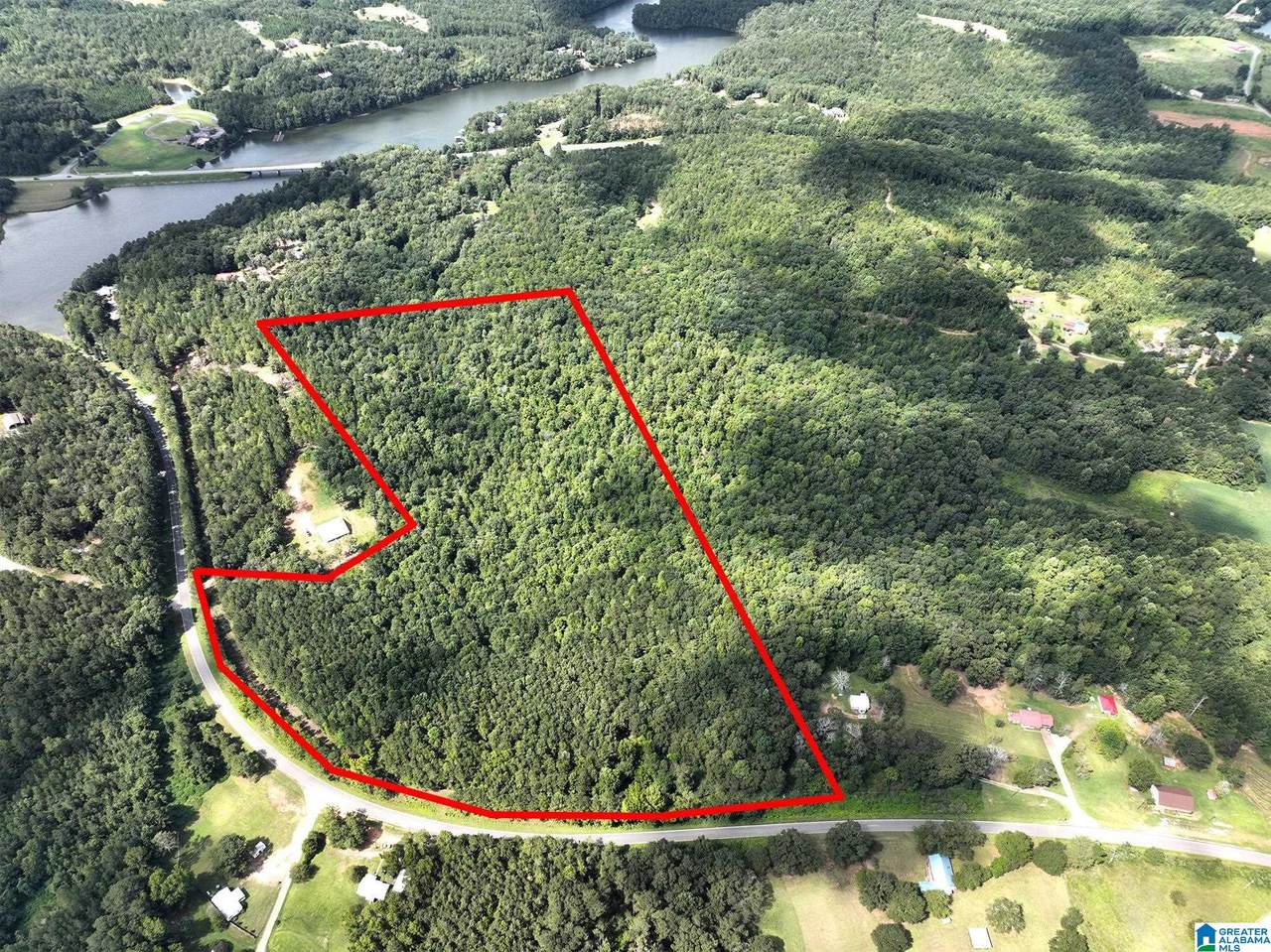 0 County Road 431 - Photo 1