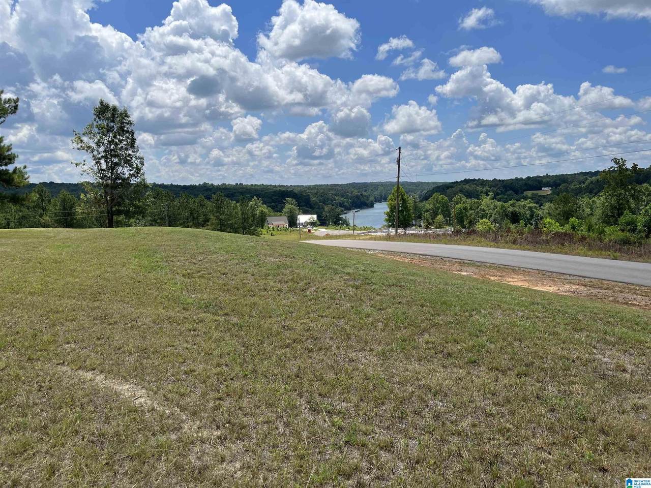 0 County Road 367 - Photo 1