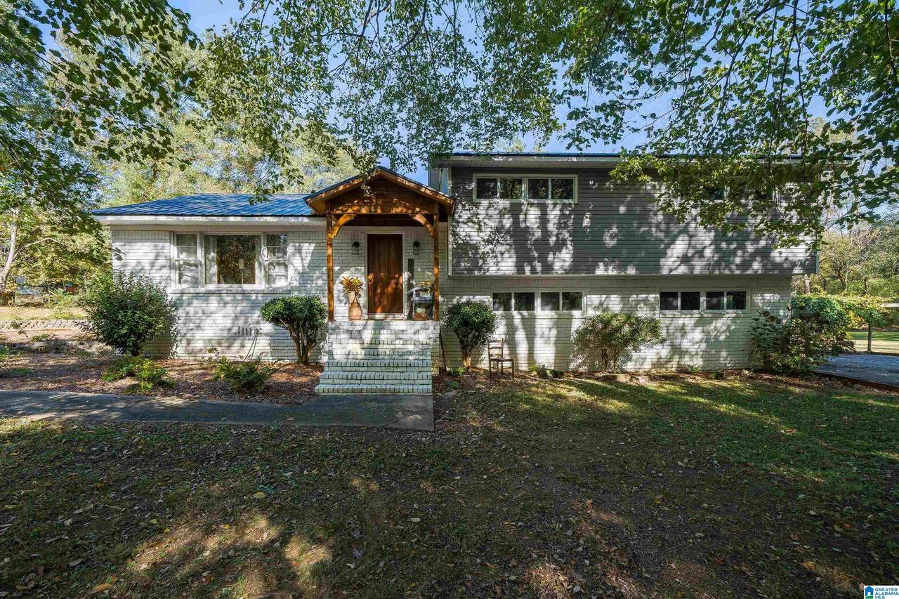 131 New Talladega Road - Photo 1