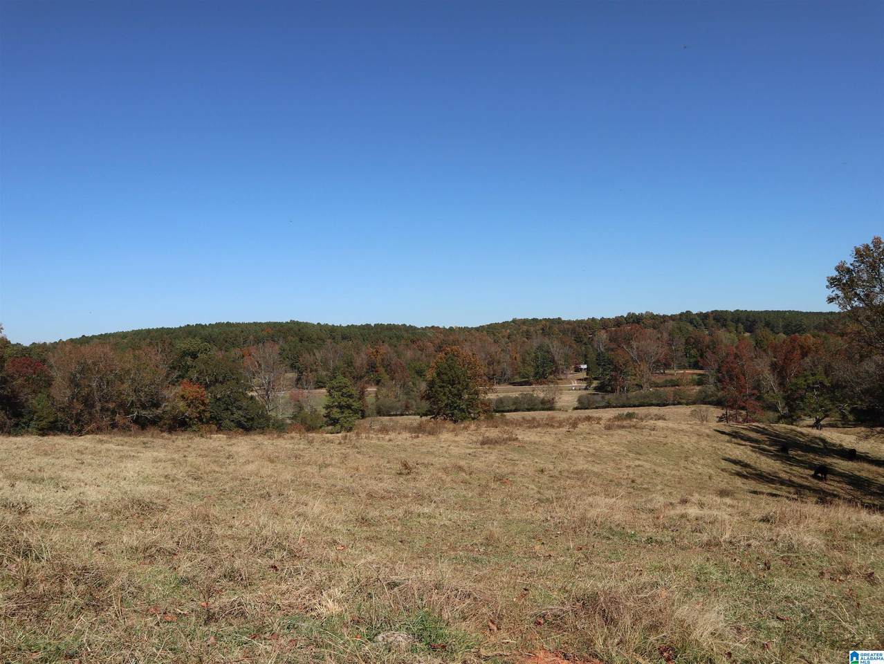 0 County Road 46 - Photo 1