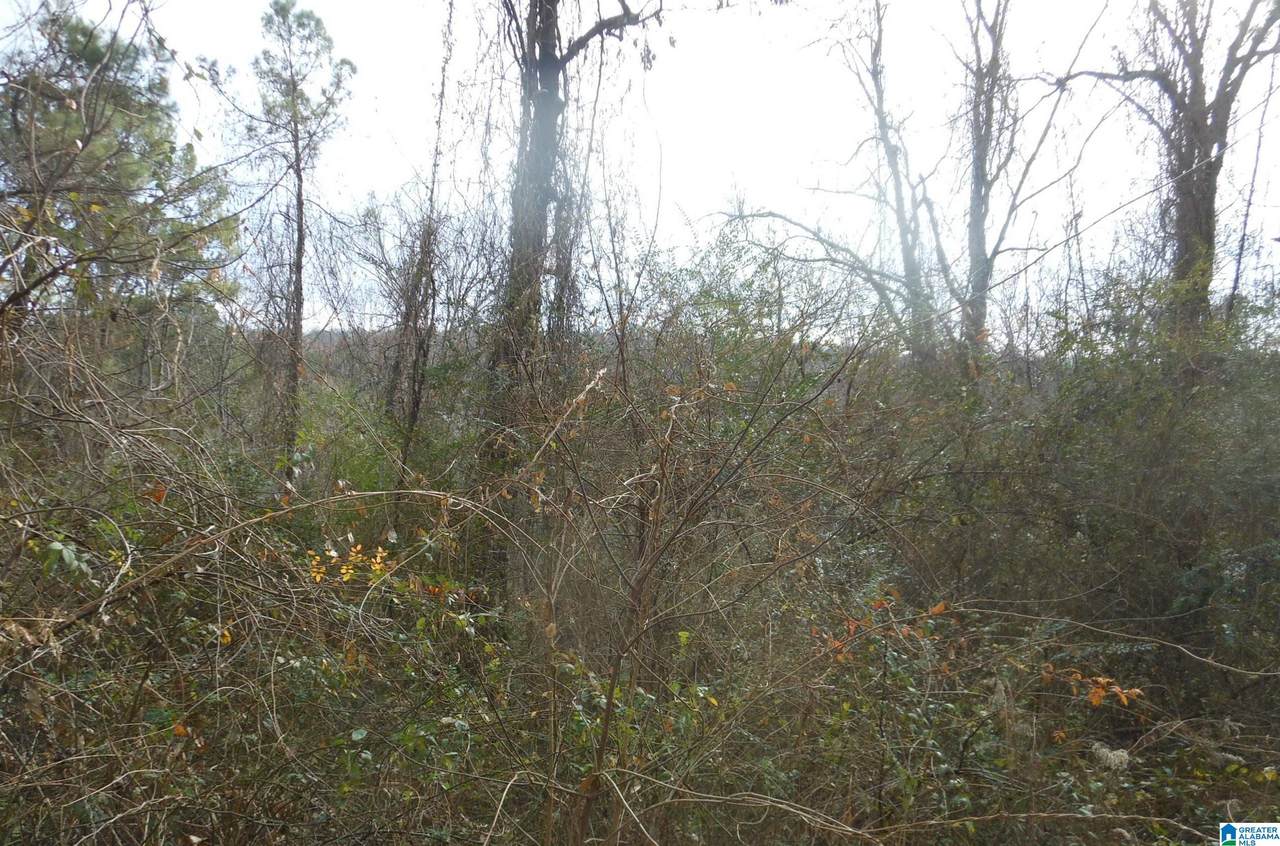 Mill Creek Road - Photo 1