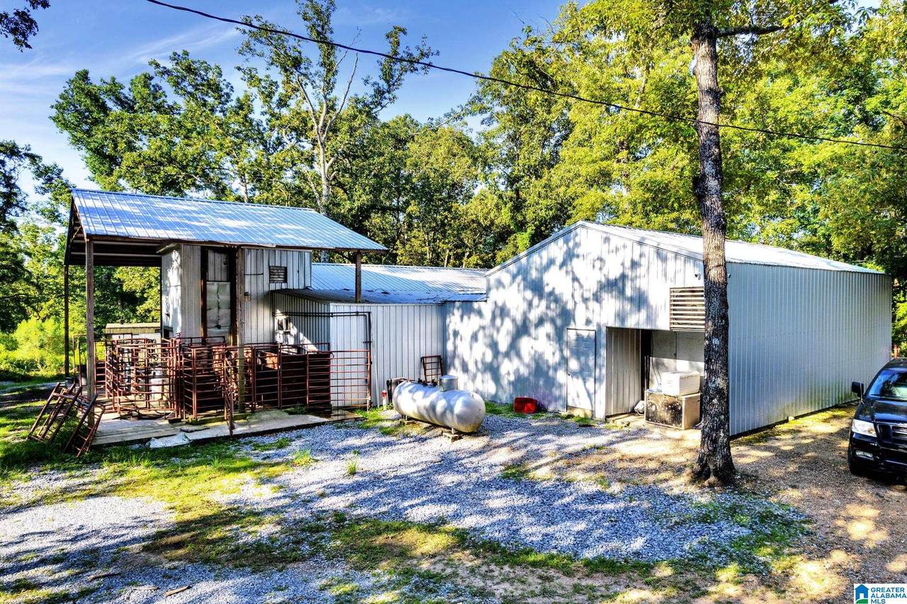 514 Odena Road North - Photo 1