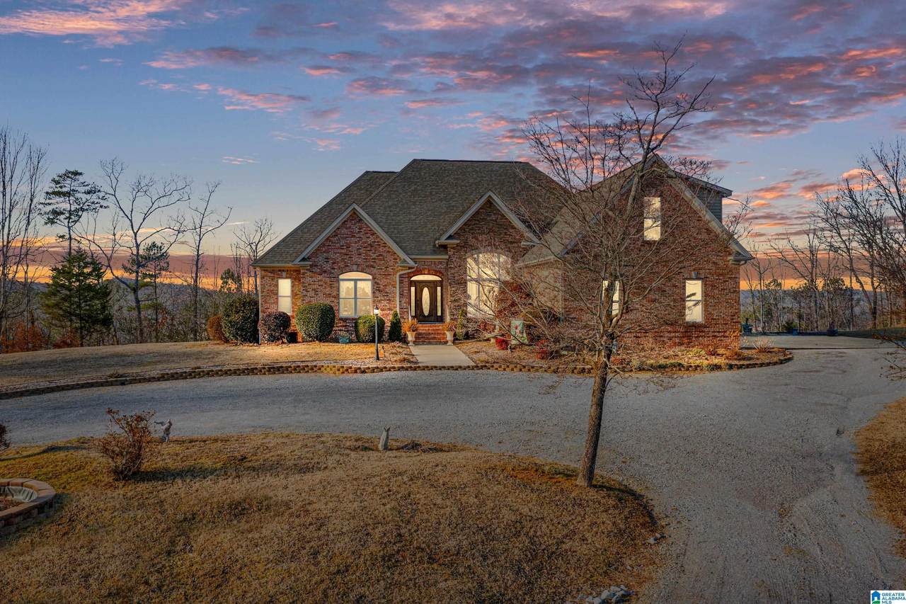1049 Mountain View Road - Photo 1