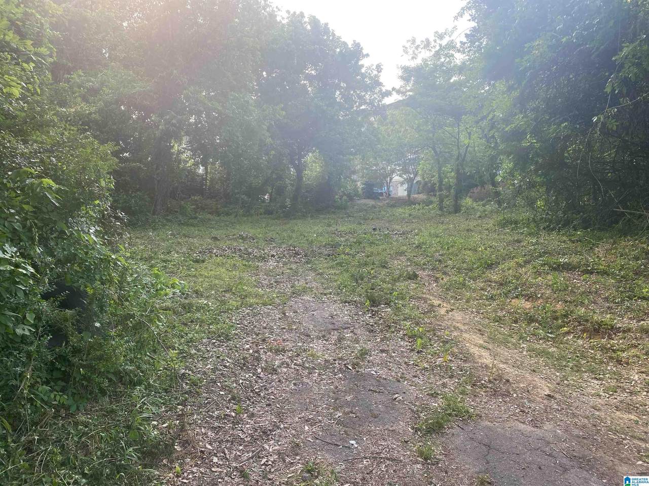 3124 Timberlake Road - Photo 1