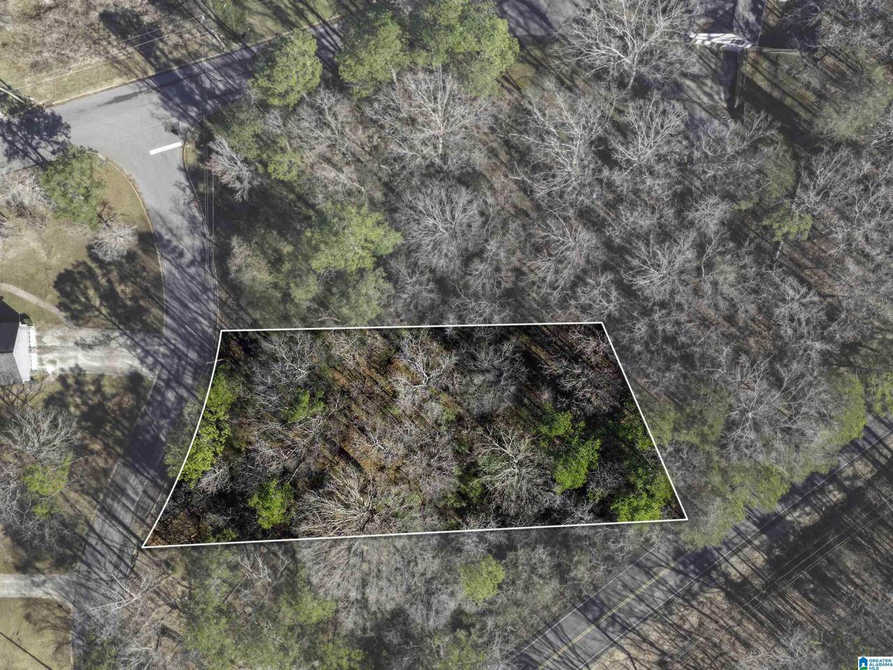 1105 Eastbrook Lane - Photo 1