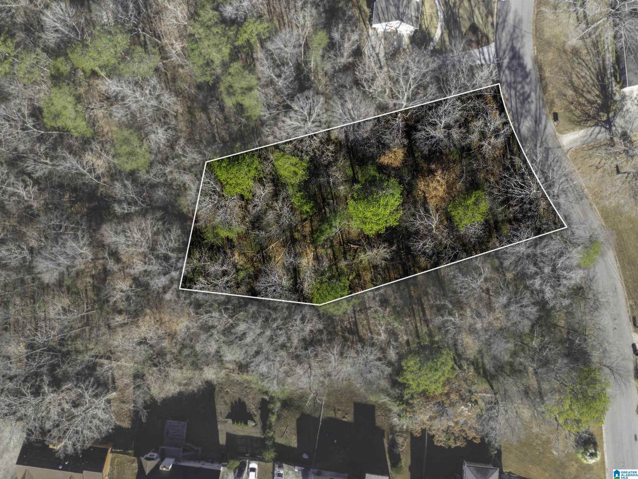 1024 Timberline Trail - Photo 1