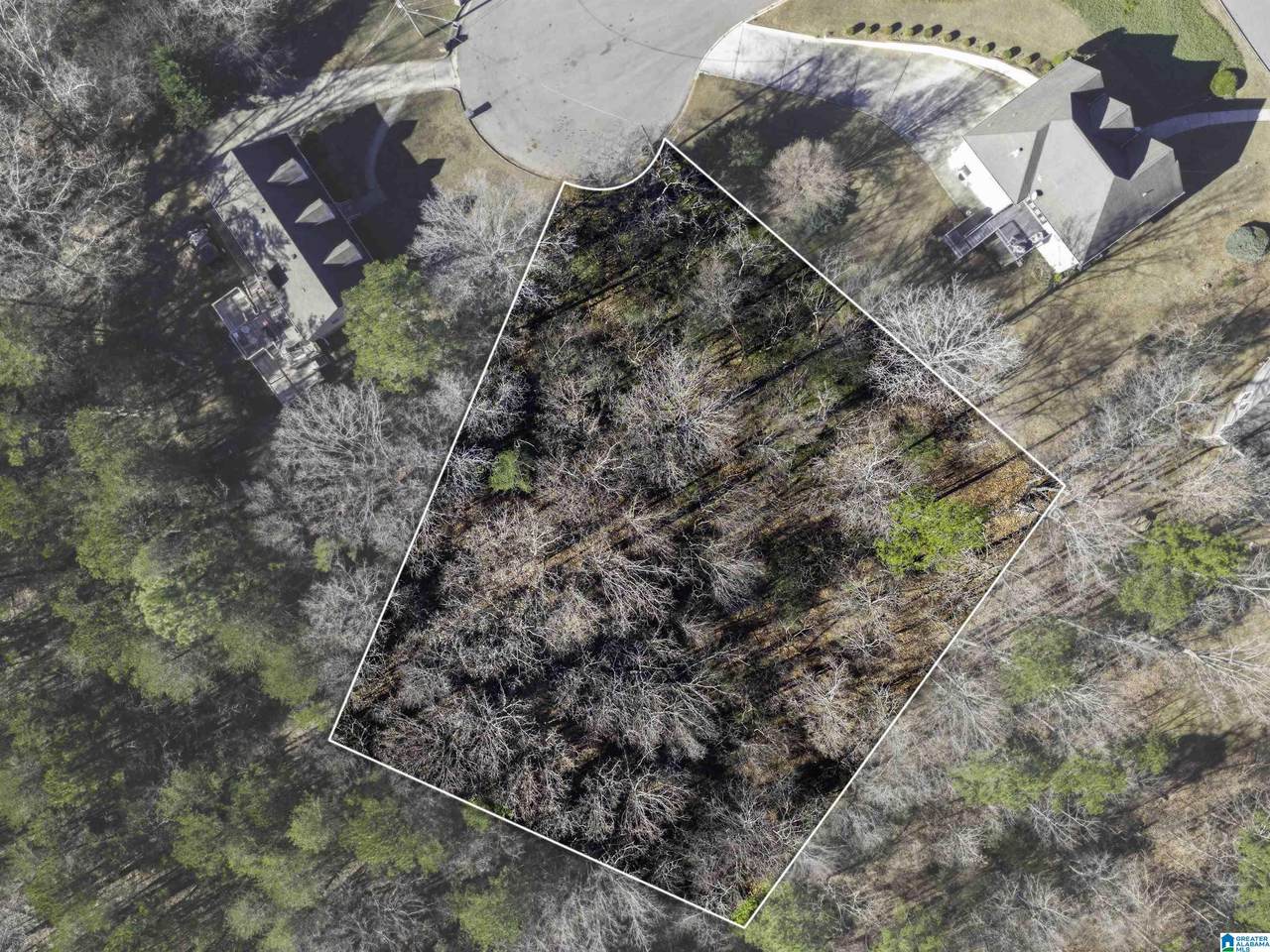 1005 Timberline Trail - Photo 1