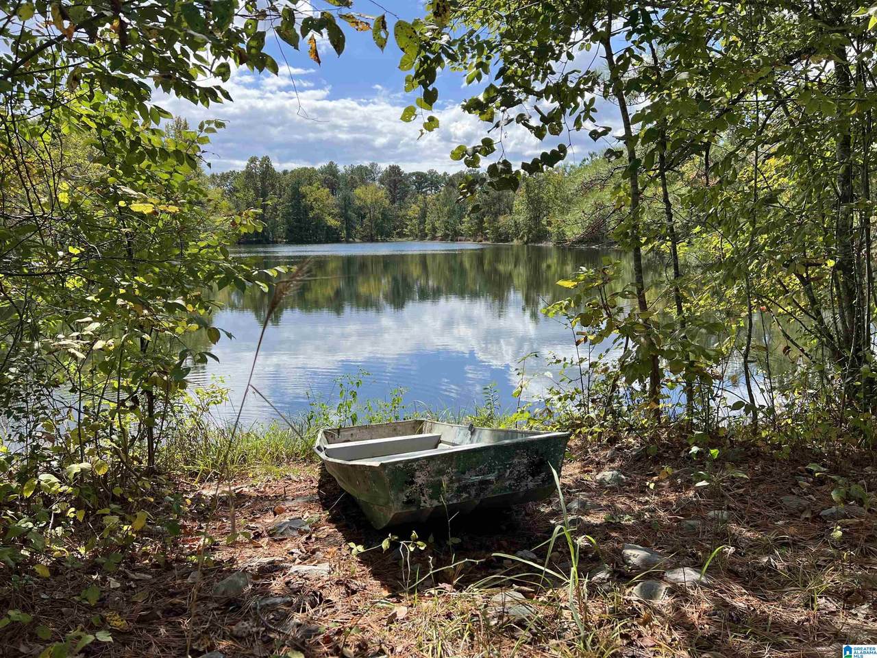 0 Sweatt Road - Photo 1