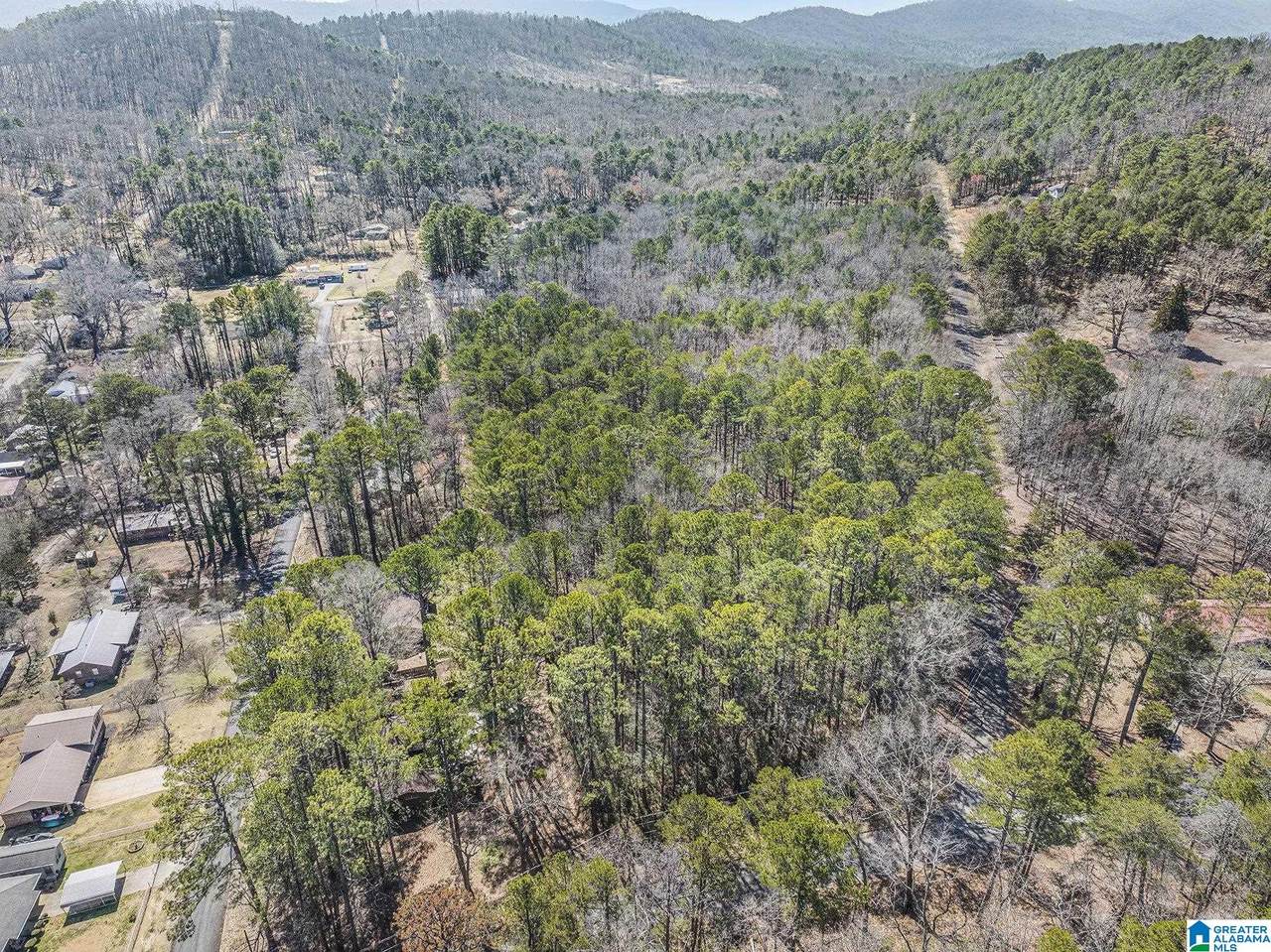 0 Oak Ridge Lane - Photo 1