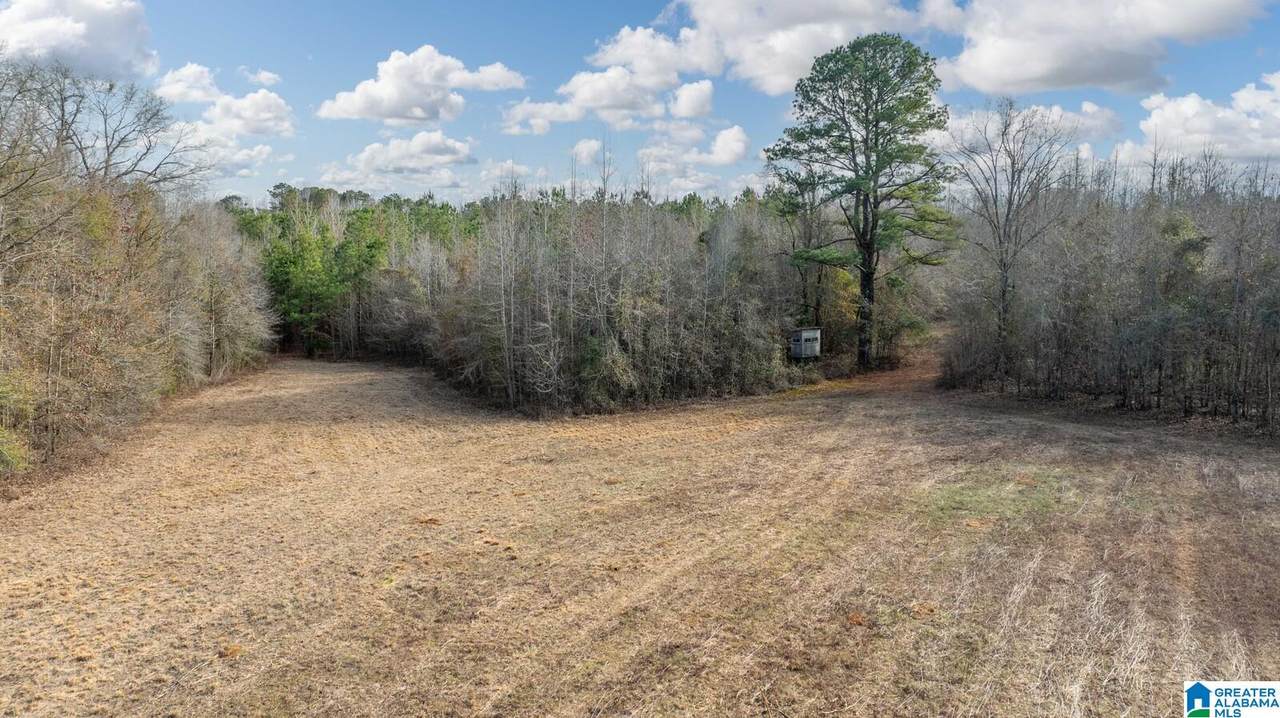 00 Brush Creek Drive - Photo 1