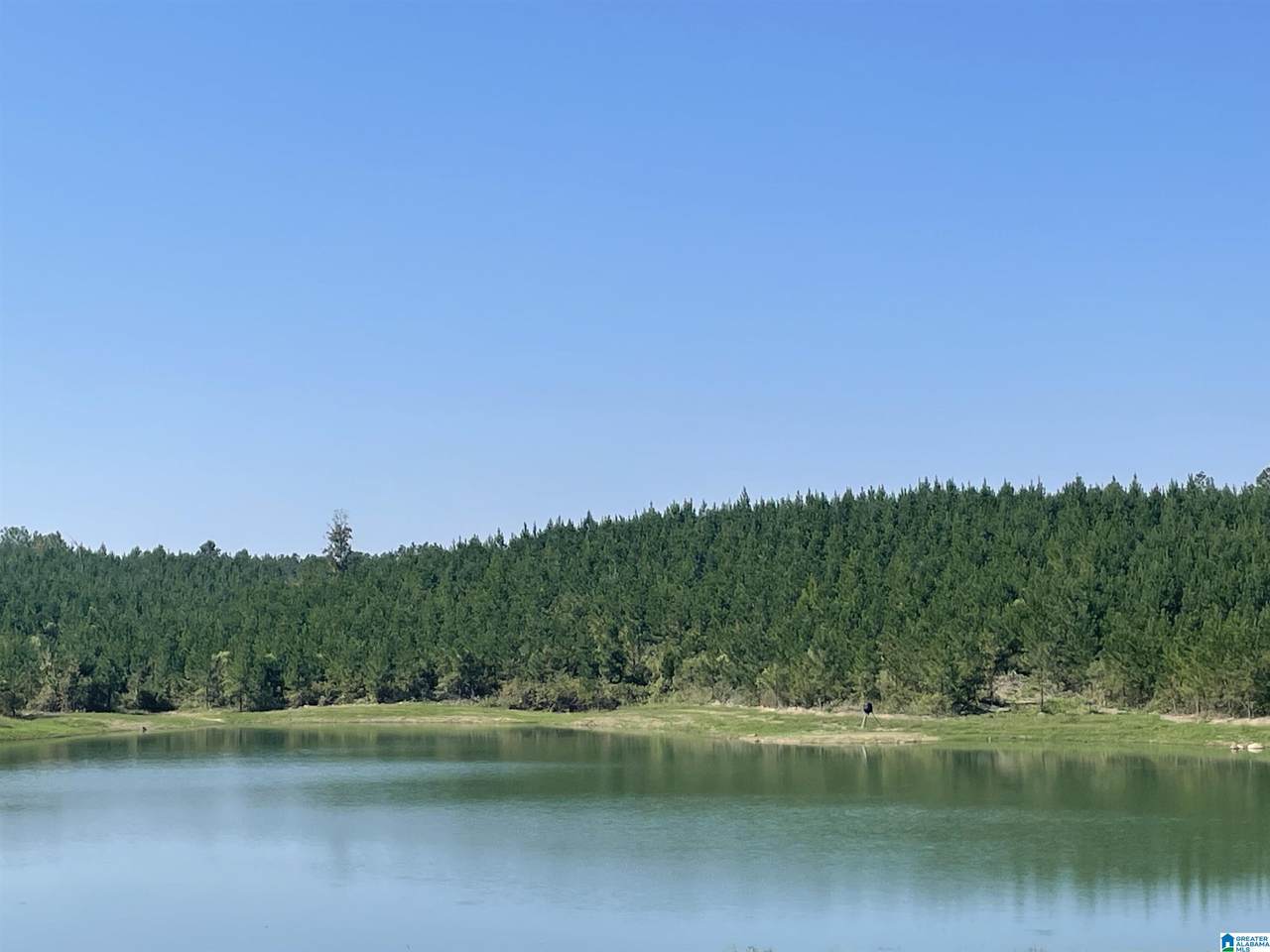 https://bt-photos.global.ssl.fastly.net/birmingham/1280_boomver_2_21408082-2.jpg