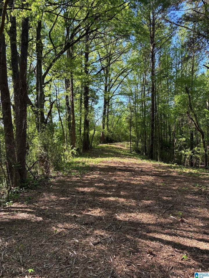 1401 Cobb Road - Photo 1