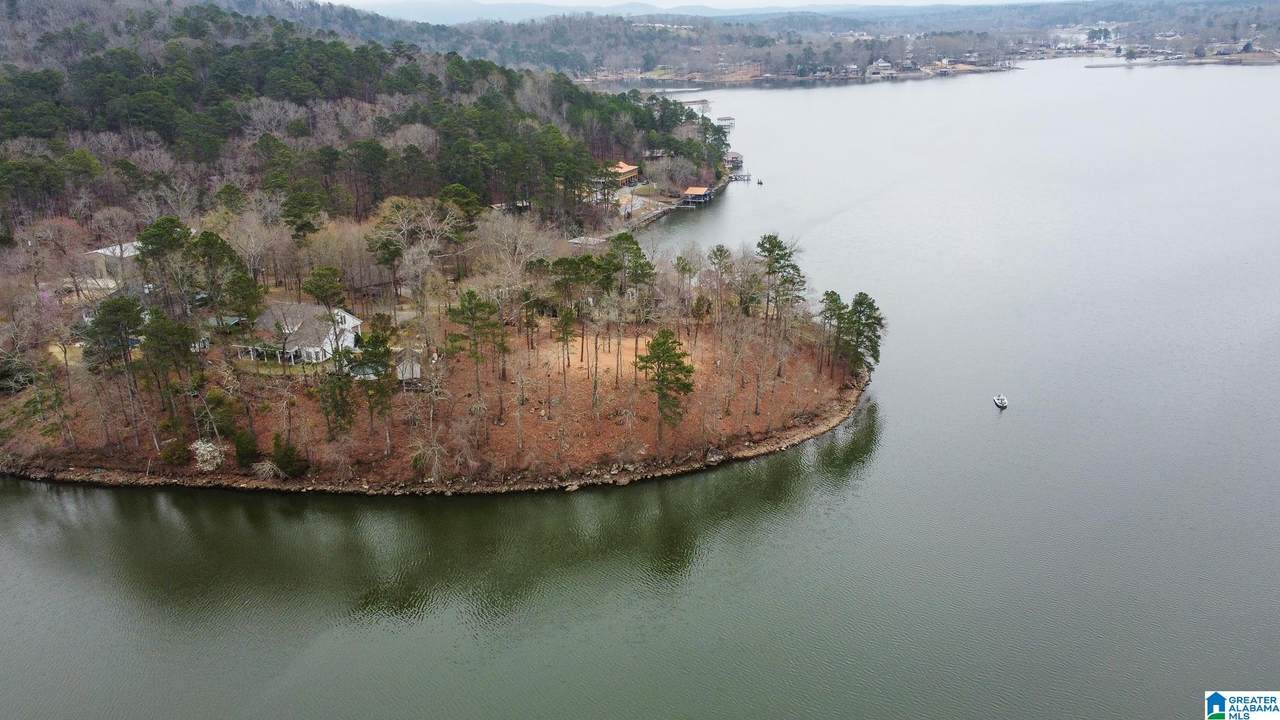  Lake Ridge Point - Photo 1