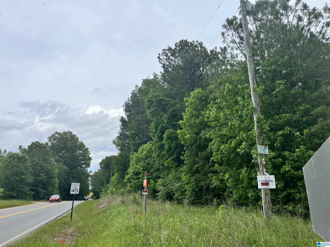 0 Mineral Springs Road - Photo 1