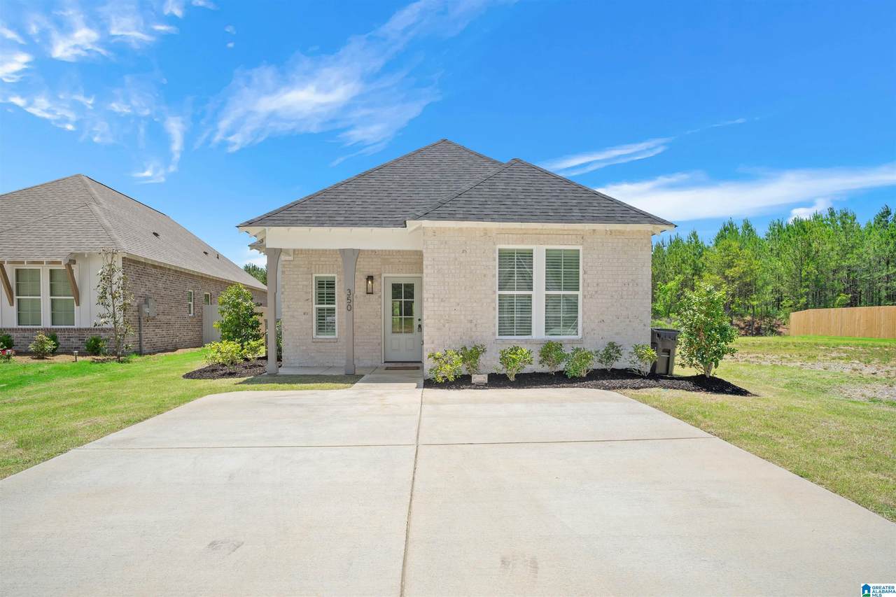 350 Shiloh Creek Drive - Photo 1