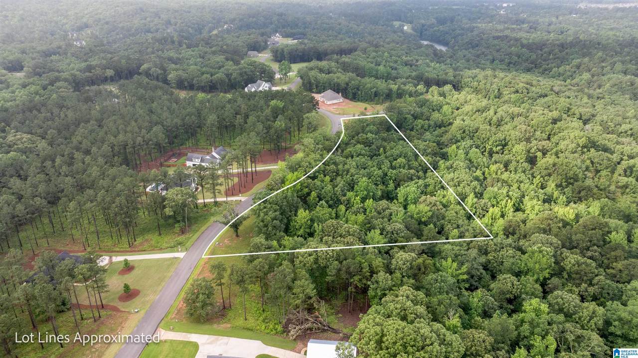 14256 Watercolor Drive - Photo 1