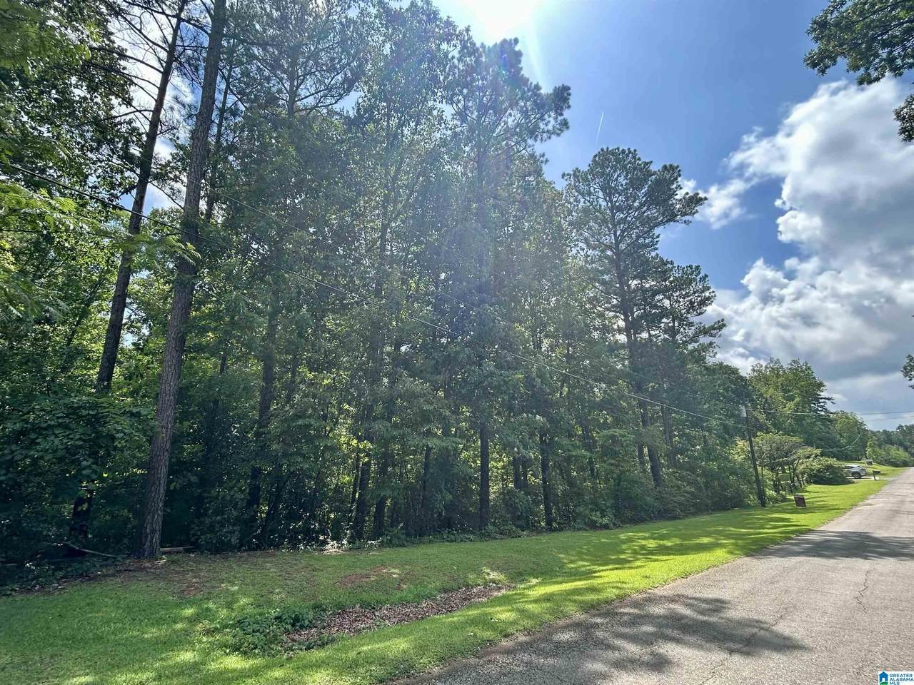 Forest Drive - Photo 1