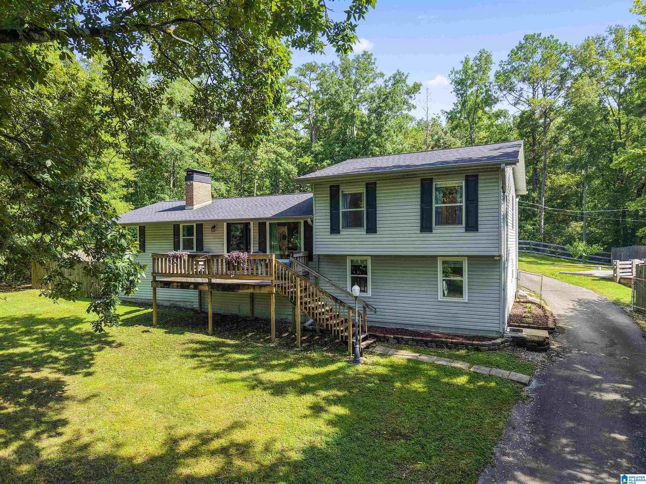 485 Highway 84 - Photo 1