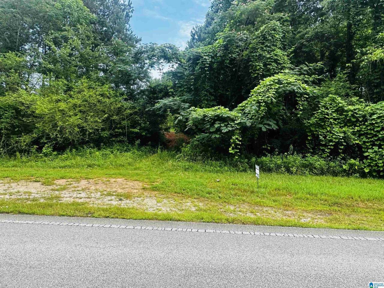 000 Highway 48 - Photo 1