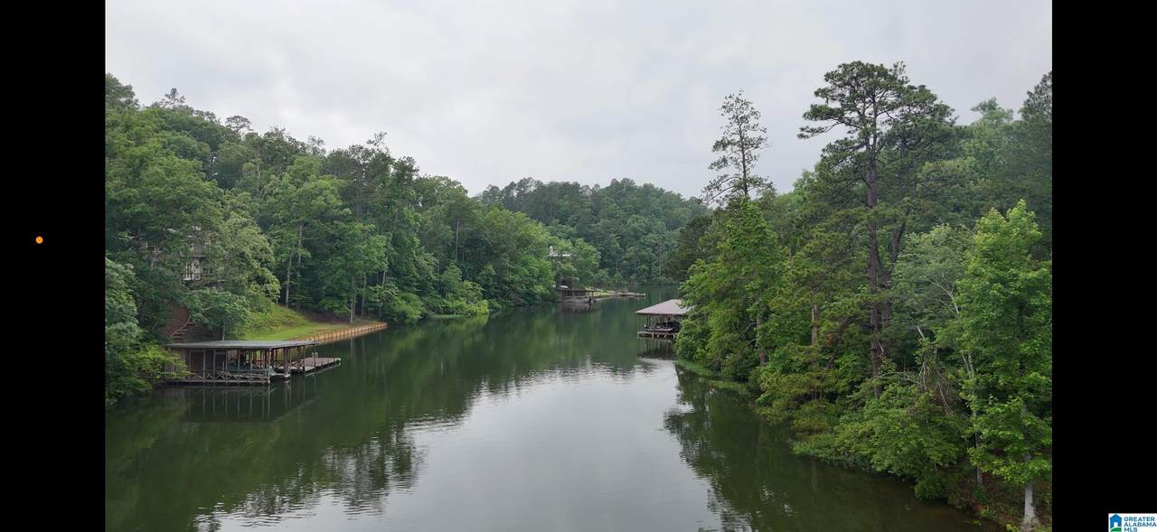 1733 Mimosa Point Road - Photo 1