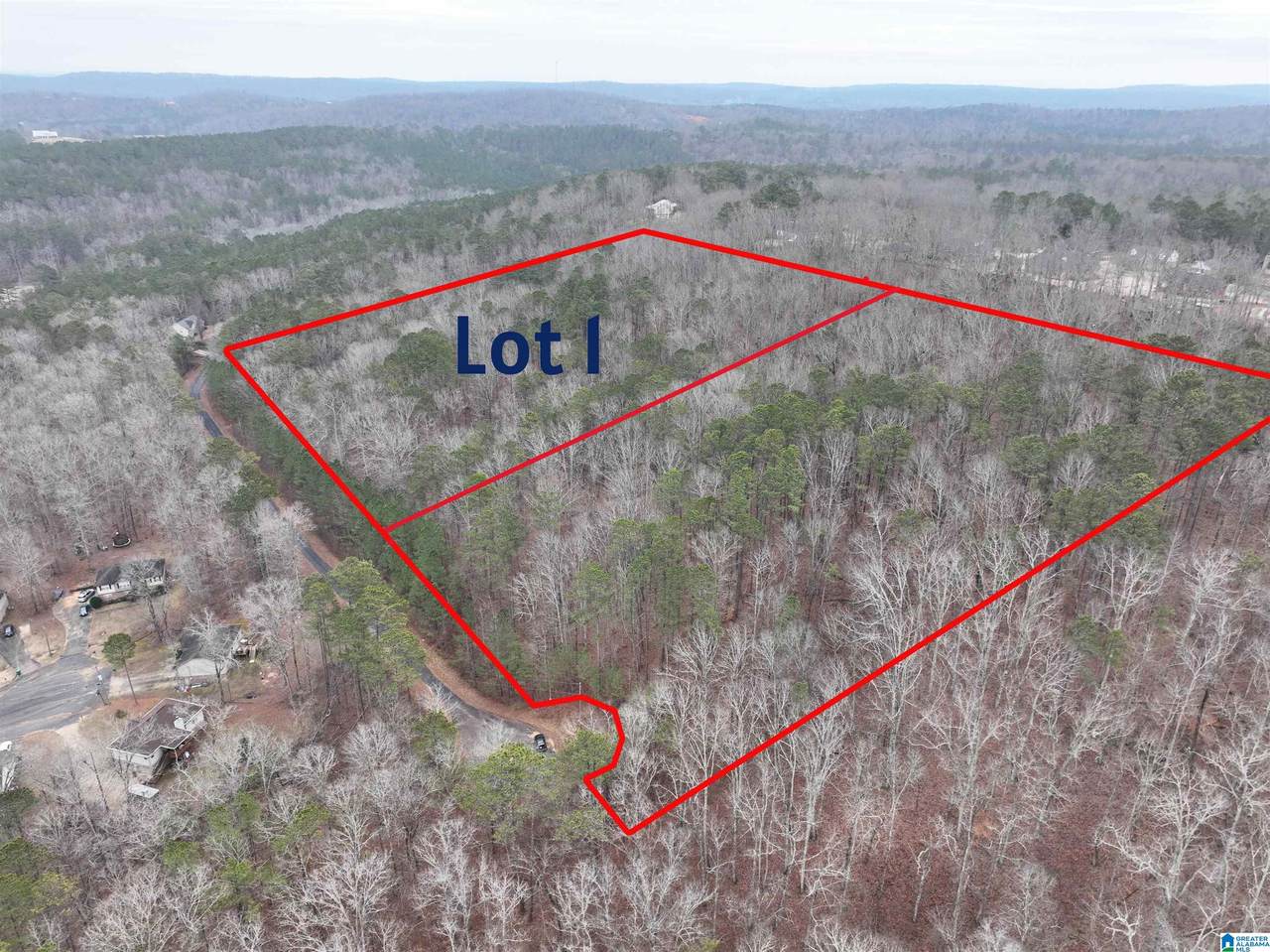 Lot 1 Henderson Road - Photo 1
