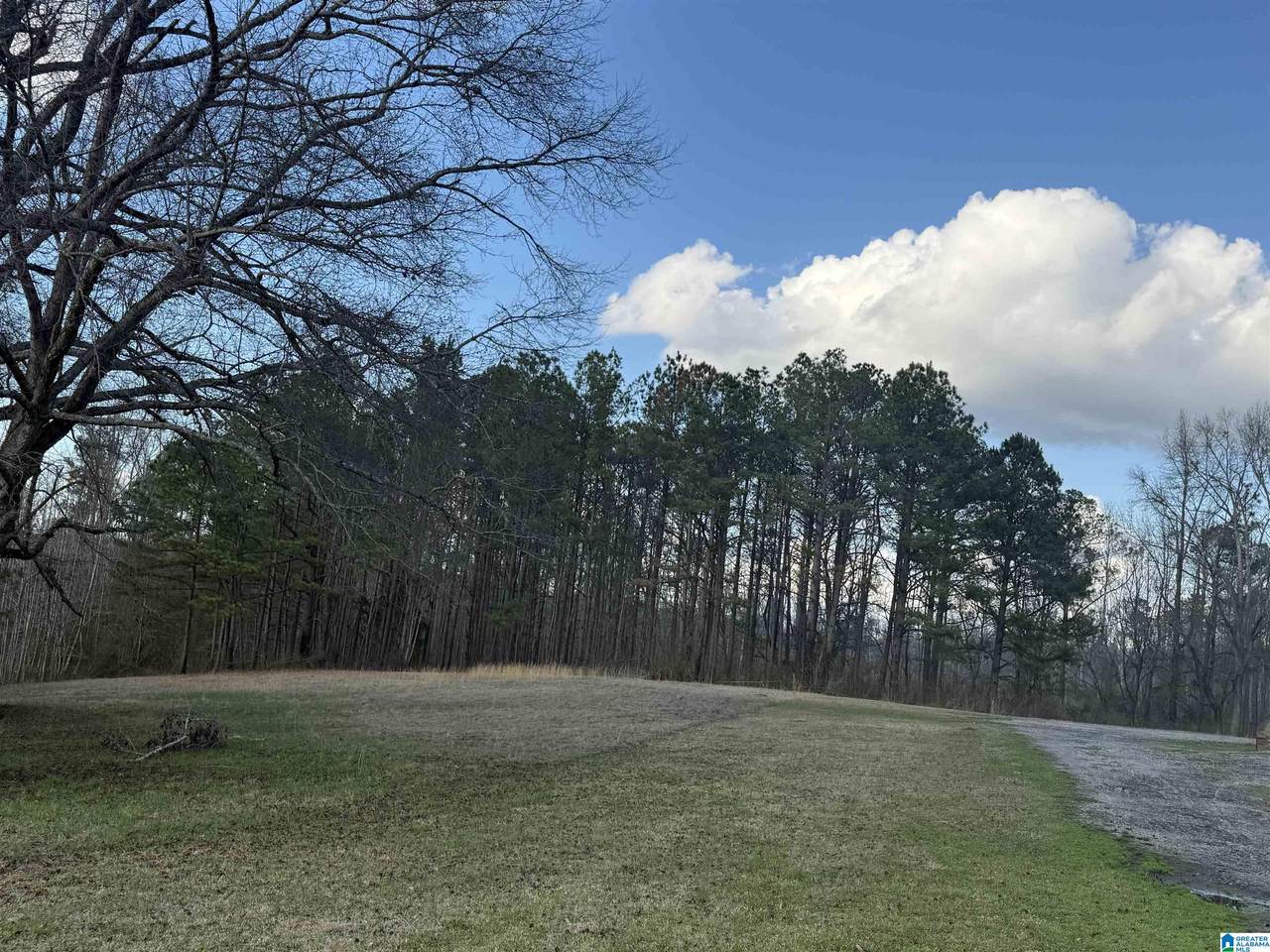 0 County Road 448 - Photo 1