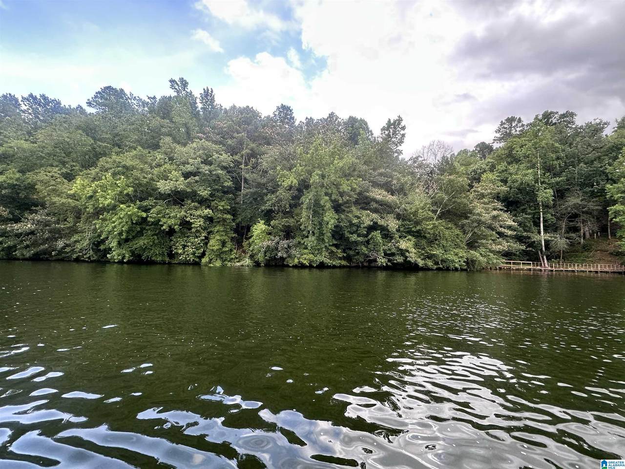 0 County Road 707 - Photo 1