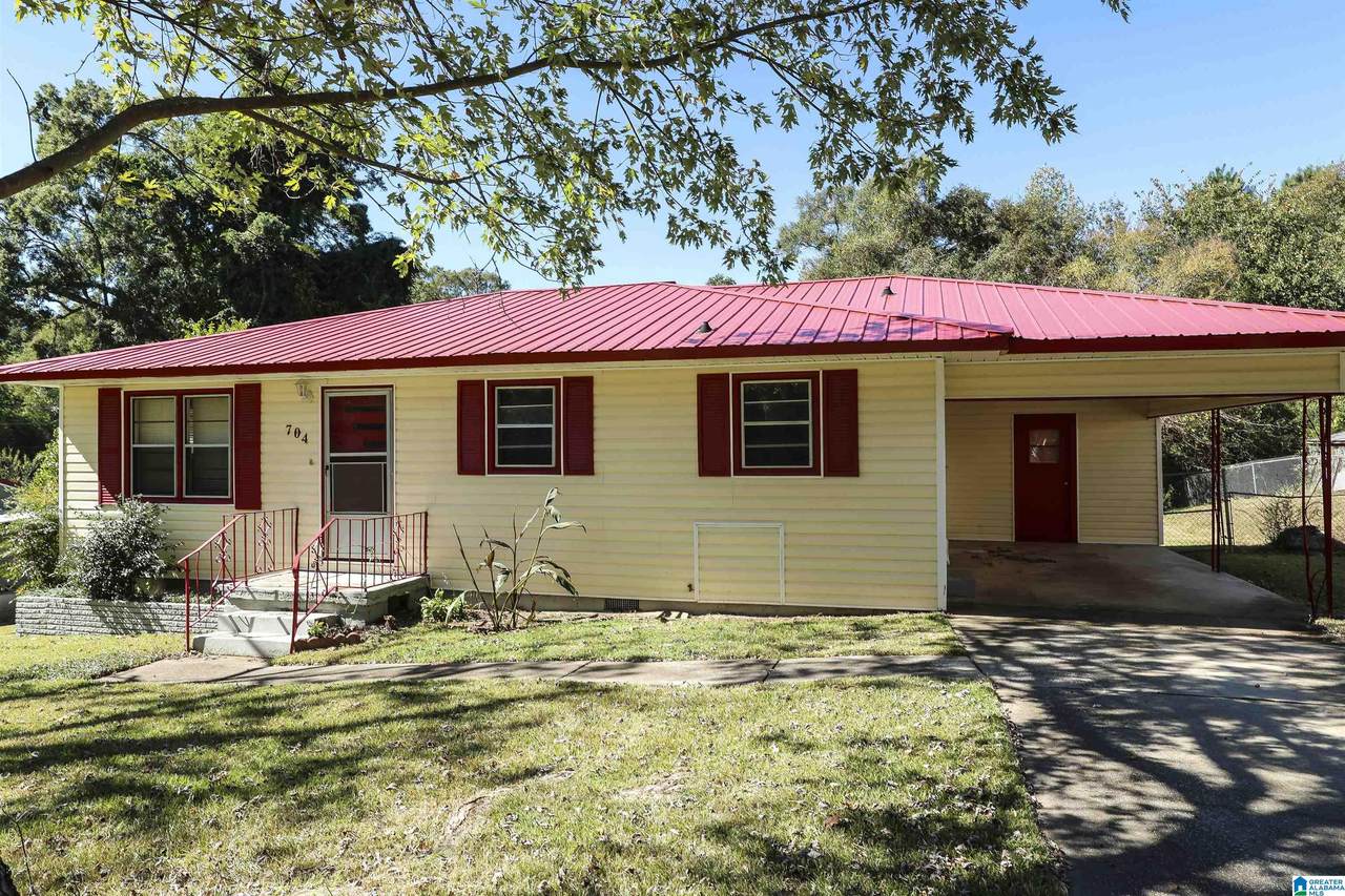 704 Olga Ann Drive - Photo 1