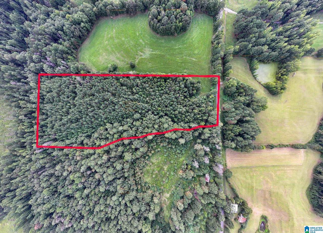 0 County Road 32 - Photo 1