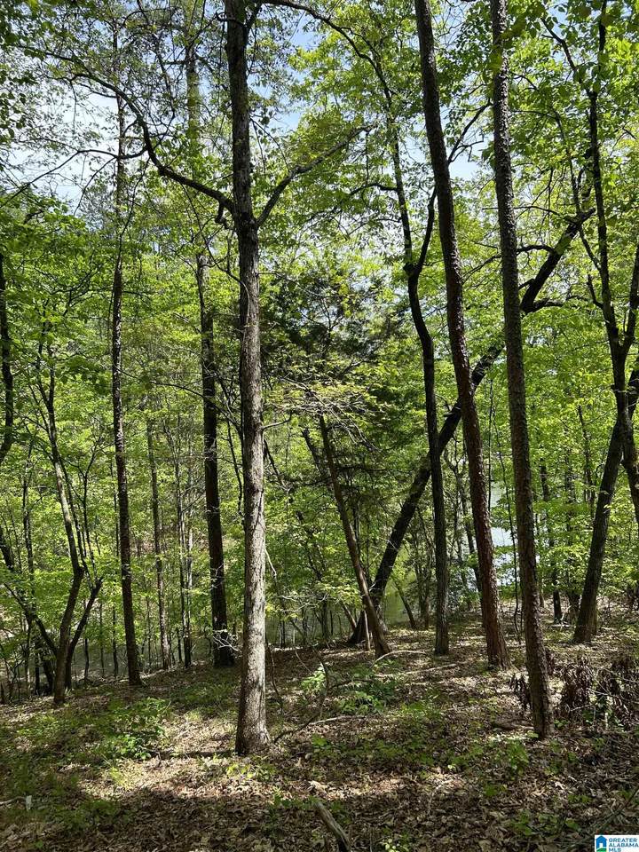https://bt-photos.global.ssl.fastly.net/birmingham/1280_boomver_2_21429909-2.jpg