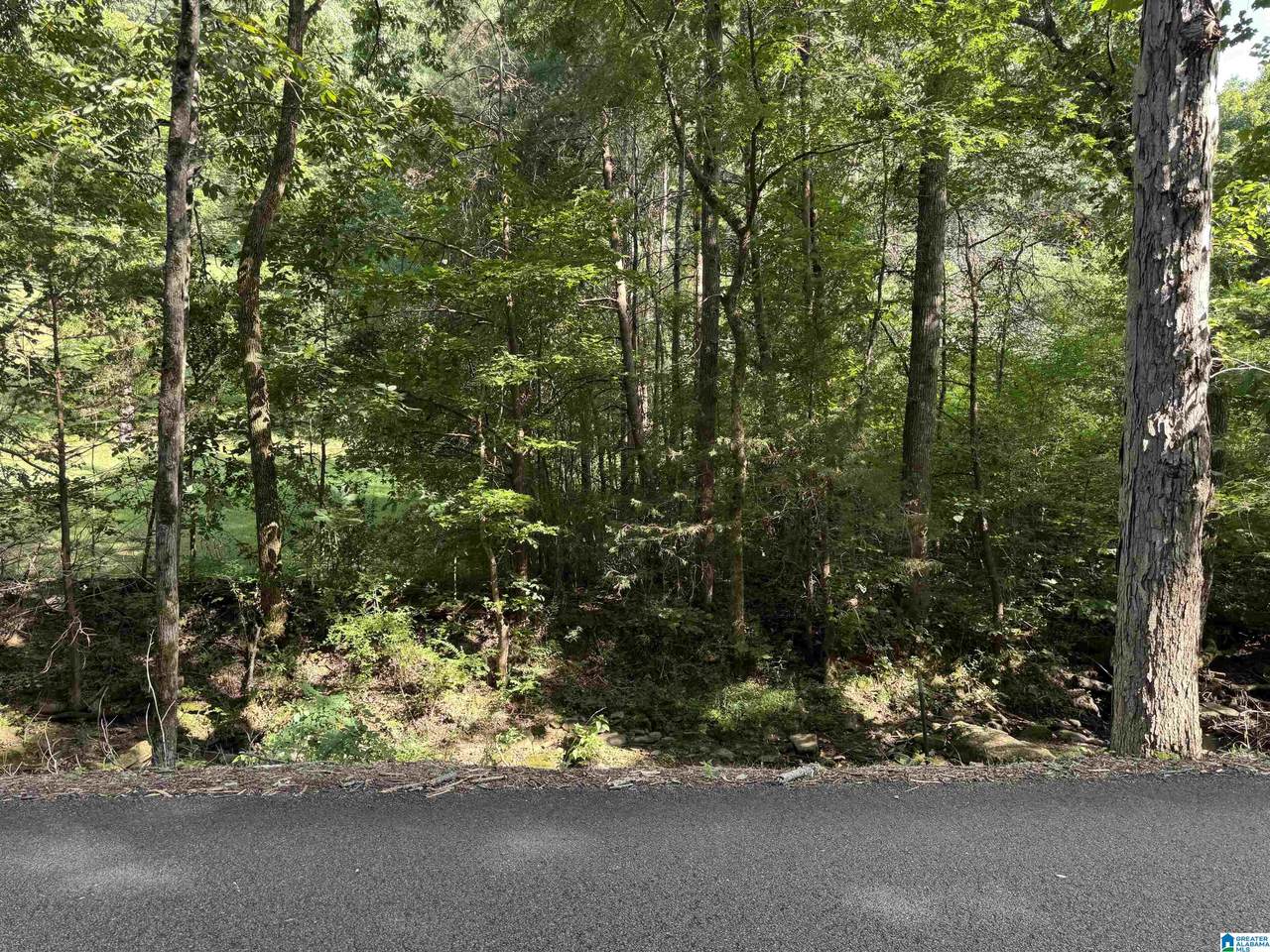 5615 Miles Spring Road - Photo 1