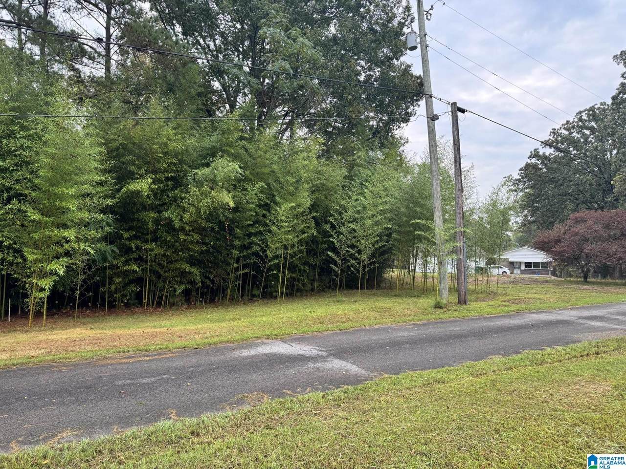 159 Brandy Lane - Photo 1