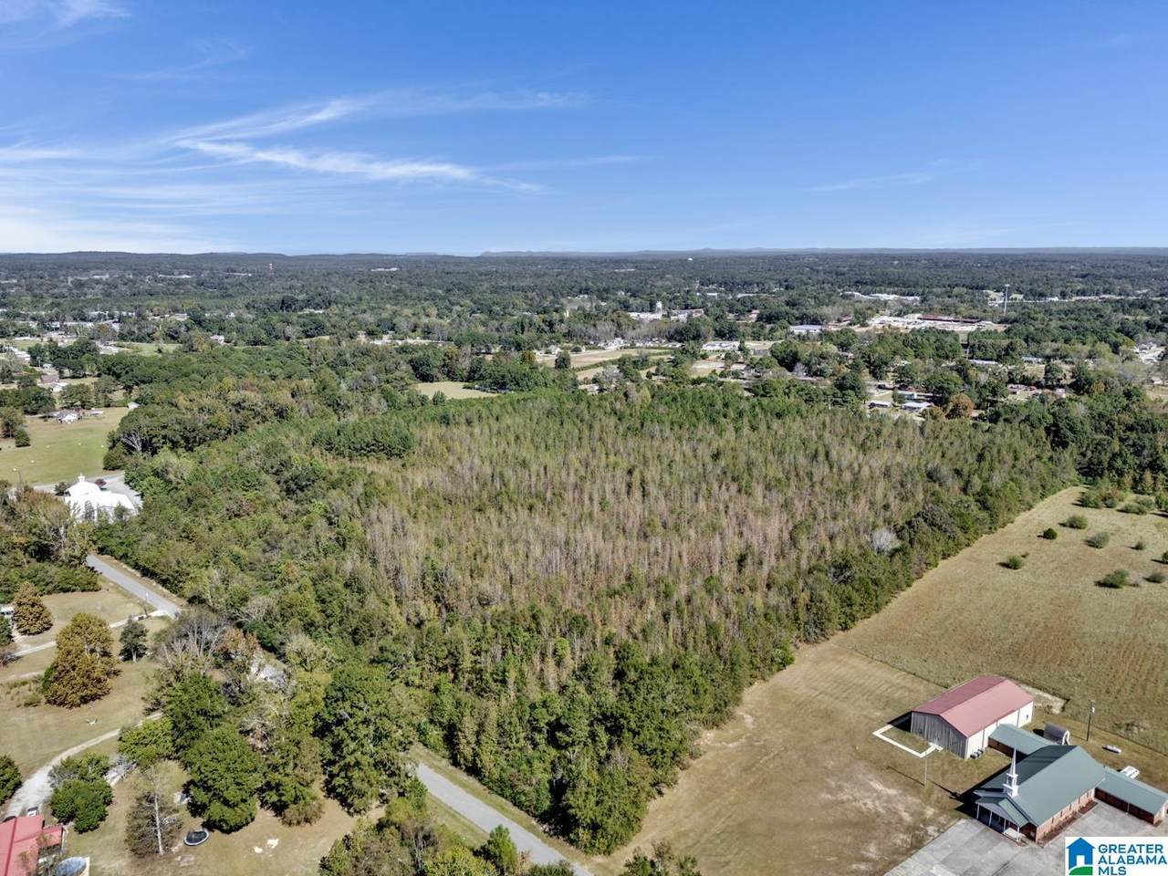 0 Hopewell Drive - Photo 1