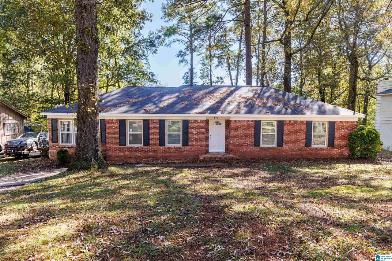 224 Sam Pate Drive - Photo 1