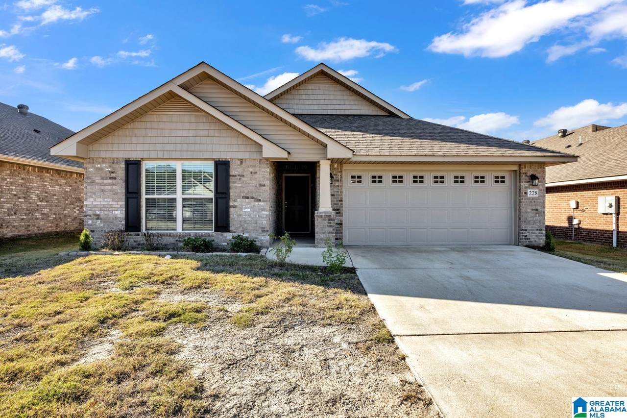 228 Black Creek Trail - Photo 1