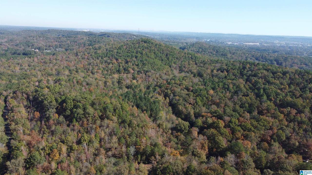 5156 Mountain Valley Road - Photo 1