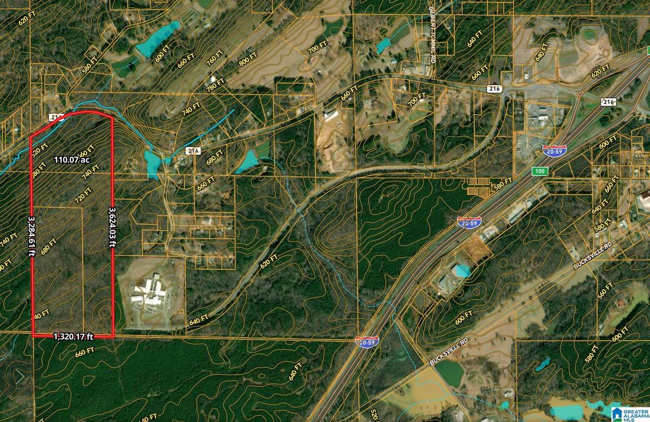 10000 Highway 216 - Photo 1