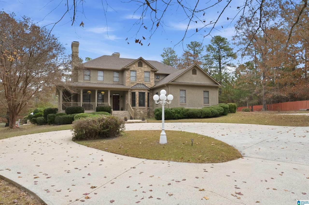3090 Highway 51 - Photo 1