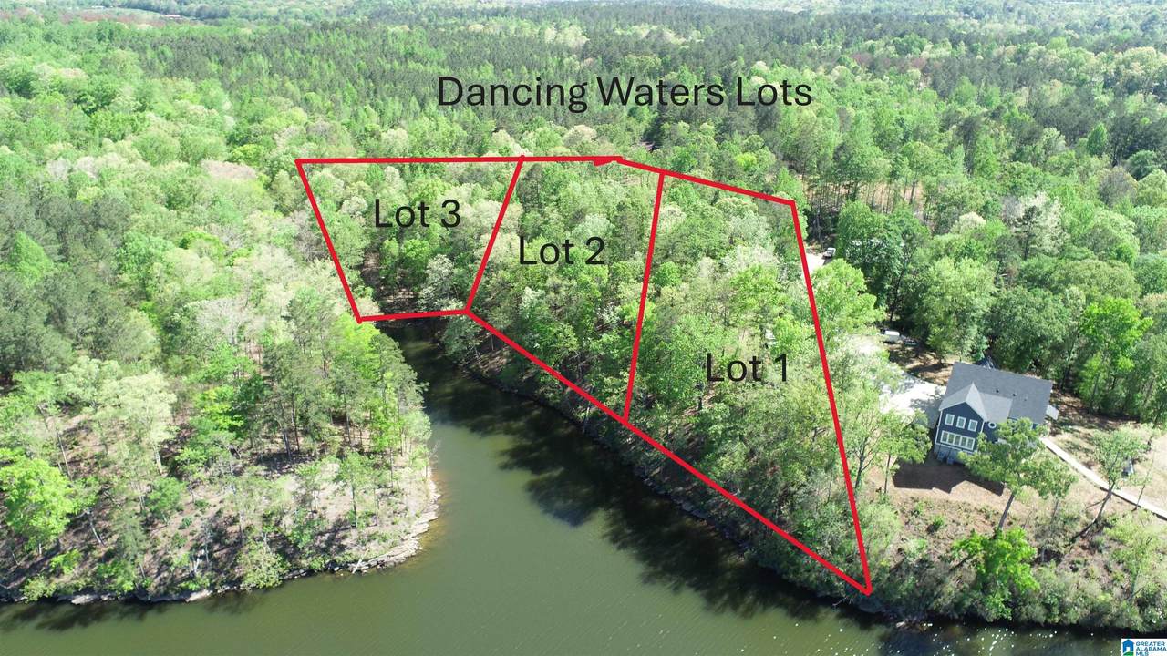 Lot 2 Dancing Waters Way - Photo 1