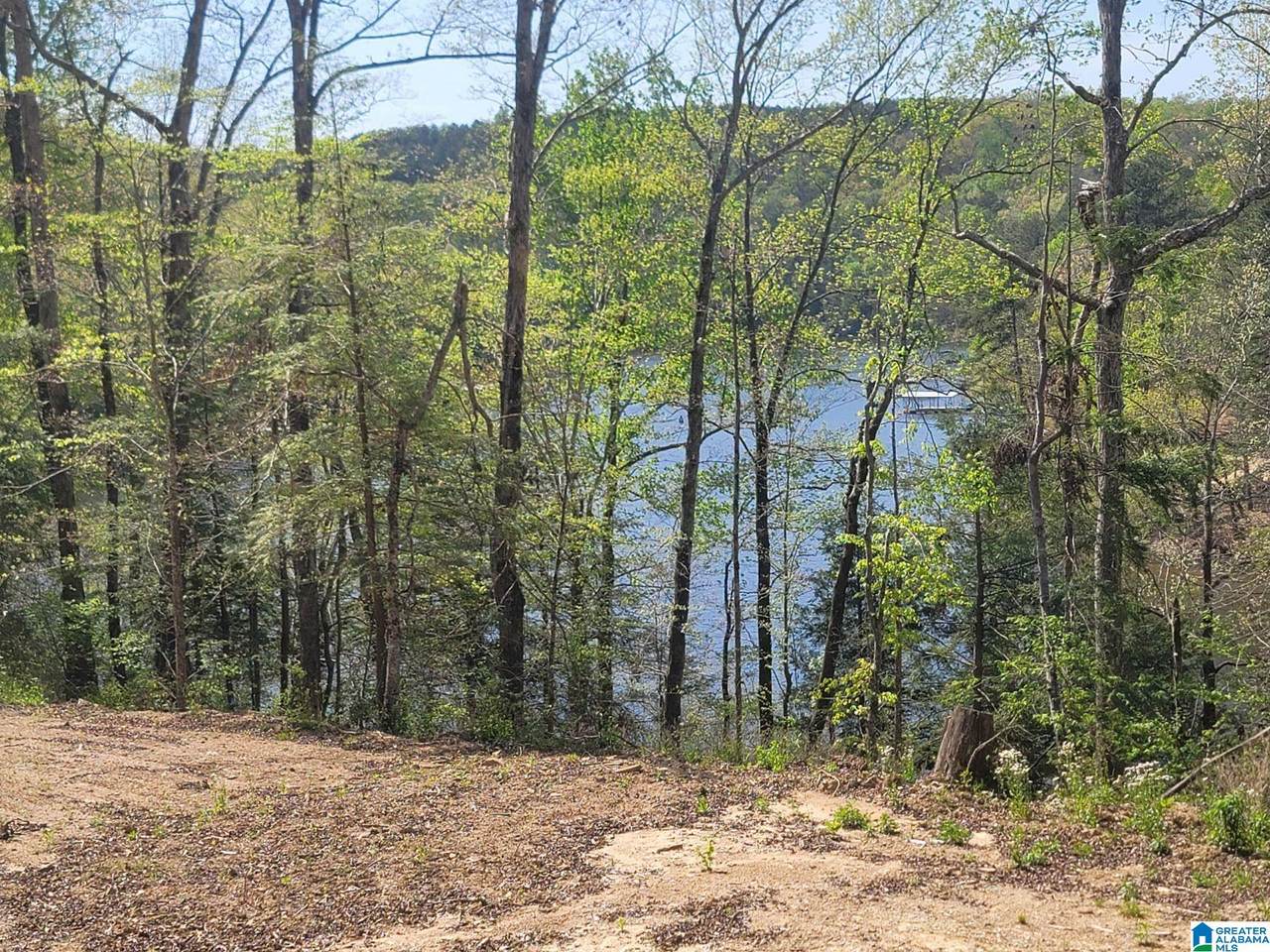 458 County Road 4036 - Photo 1