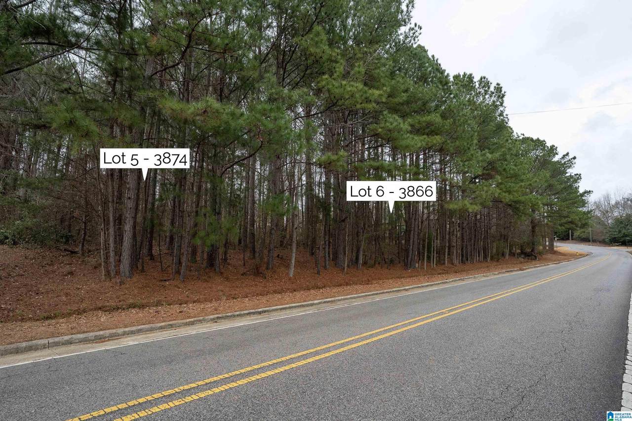 3874 Belmont Road - Photo 1