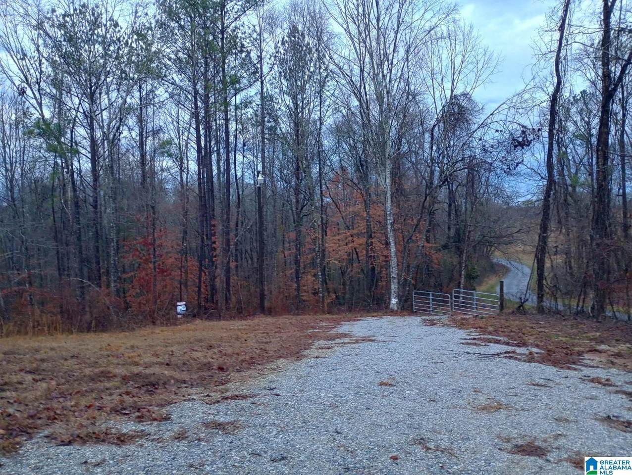 310 Fredric Ferry Road - Photo 1