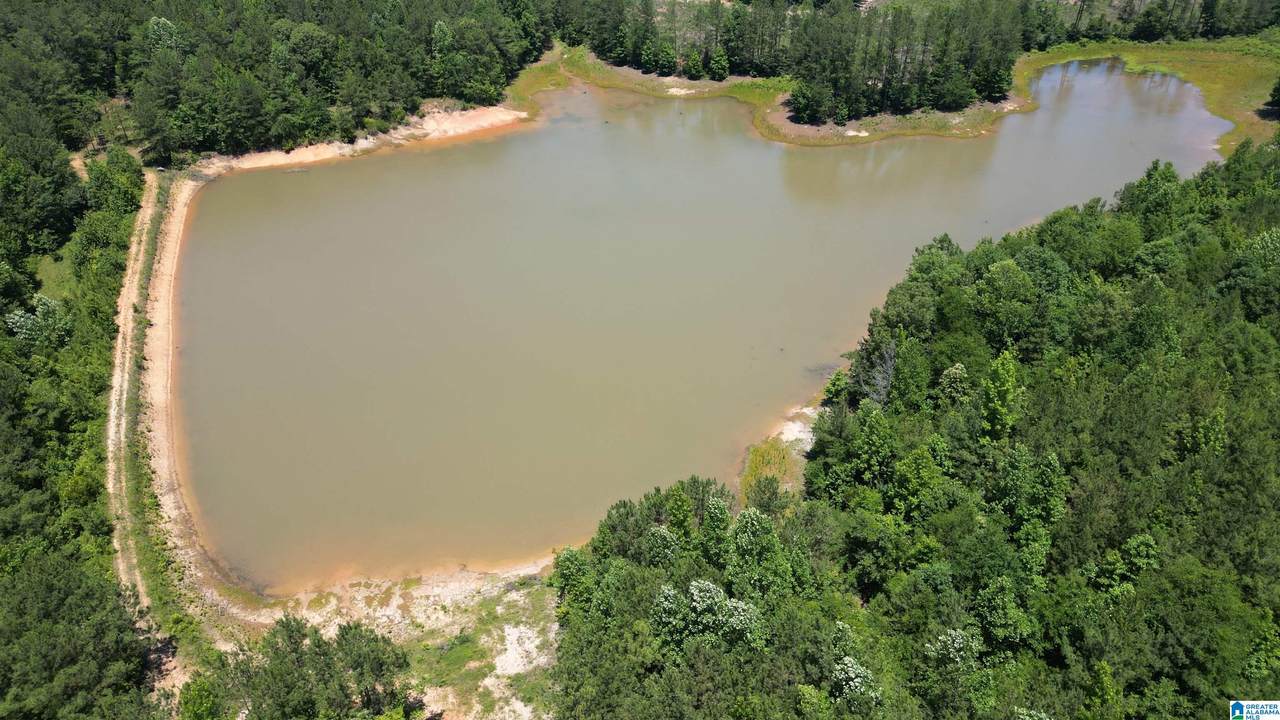 10 County Road 331 - Photo 1