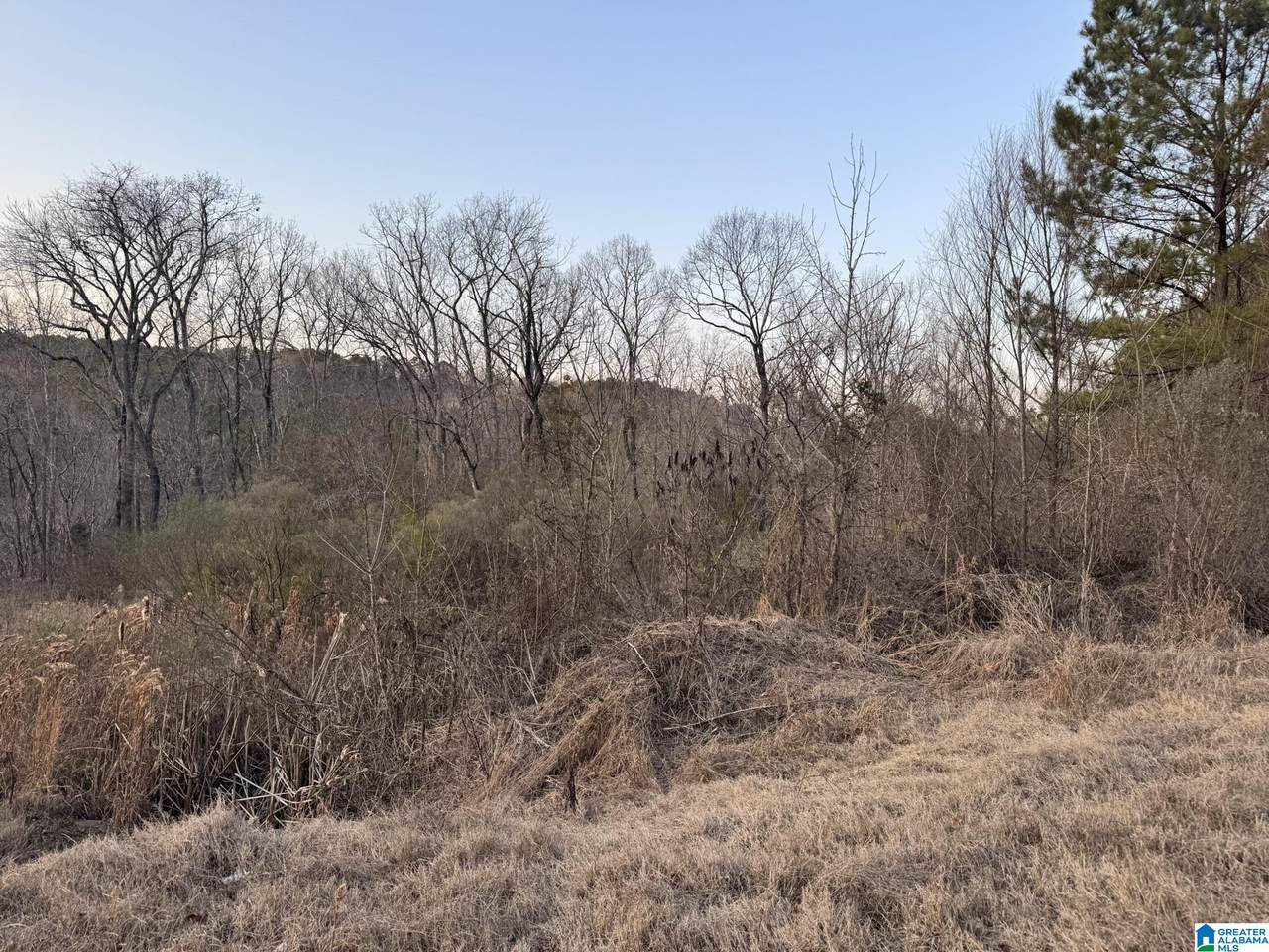 868 Hoover Road - Photo 1