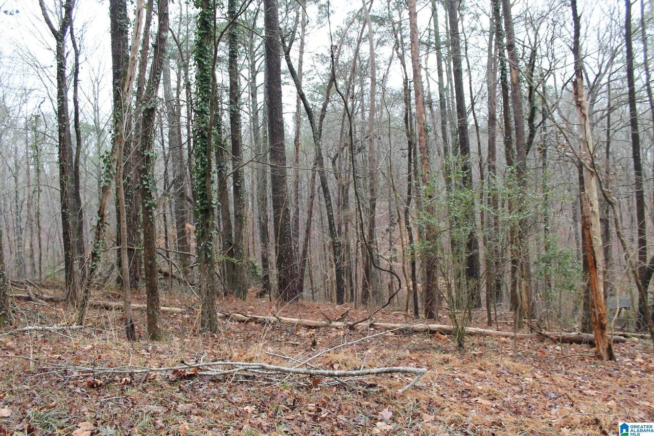 246 Driftwood Circle - Photo 1