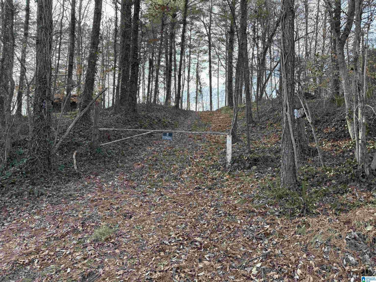 0 Old Georgia Road - Photo 1