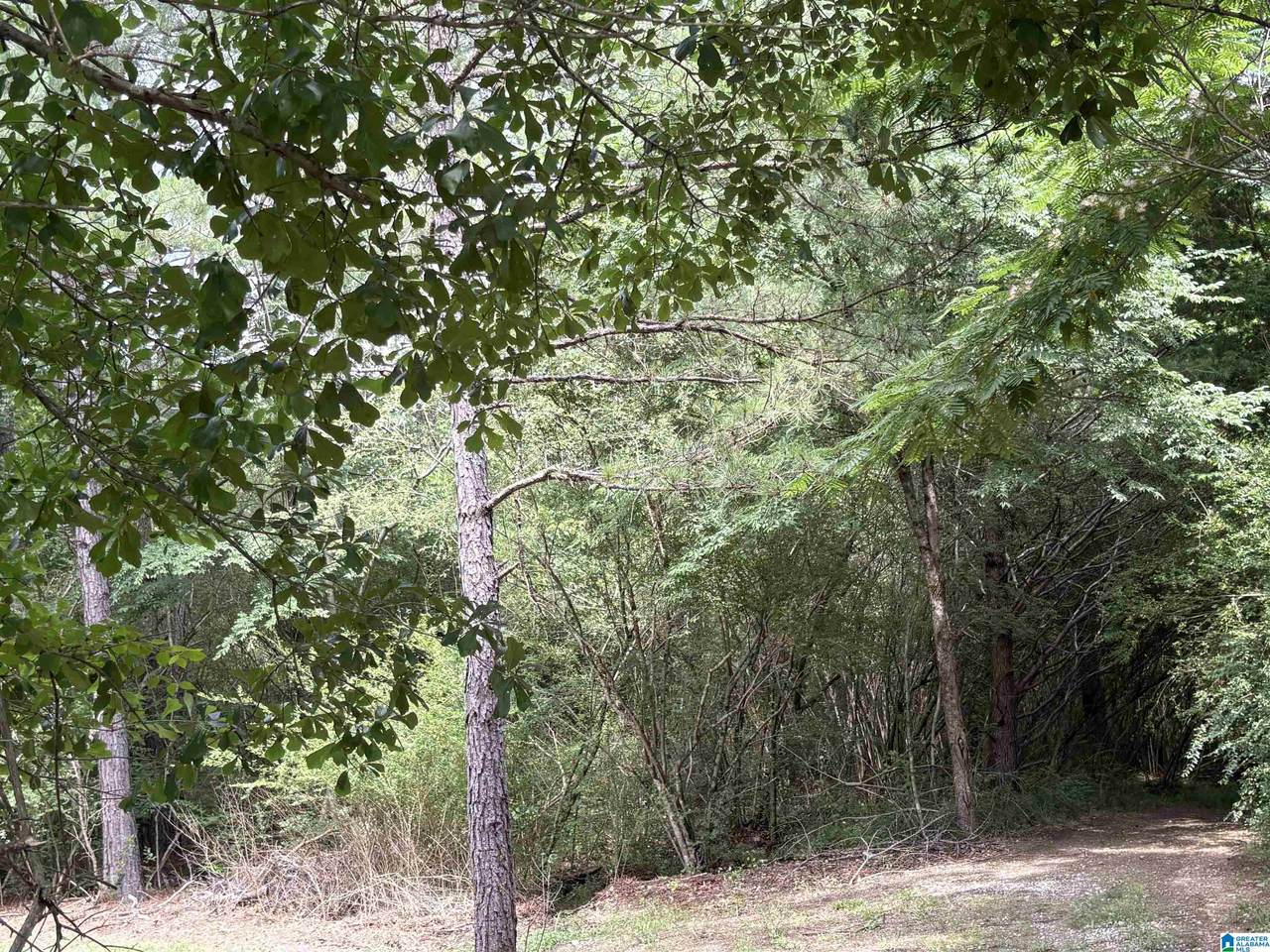 0 Lora Lane - Photo 1